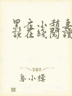 黑夜小赵妻子小说在线阅读