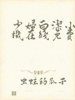 少妇白洁小说手机在线免费阅读