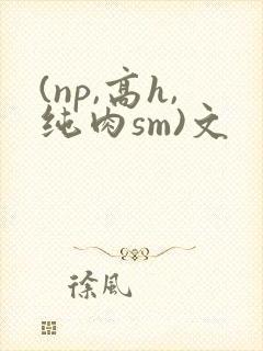 (np,高h,纯肉sm)文封面