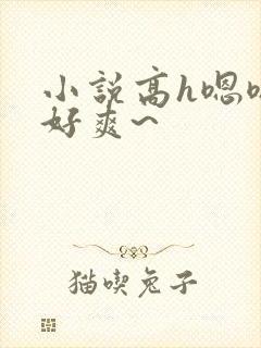 小说高h嗯嗯~好爽~