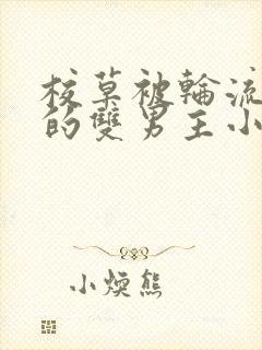 校草被轮流欺负的双男主小说推荐