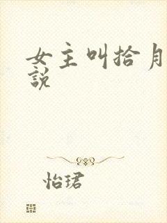 女主叫拾月的小说封面