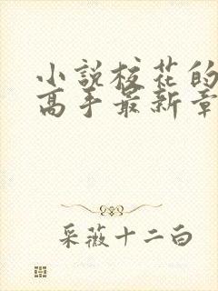 小说校花的贴身高手最新章节阅读