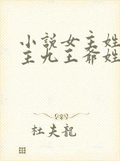 小说女主姓颜男主九王爷姓寒封面