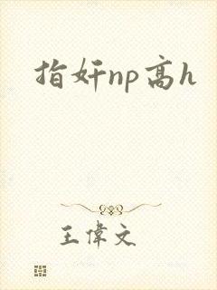 指奸np高h