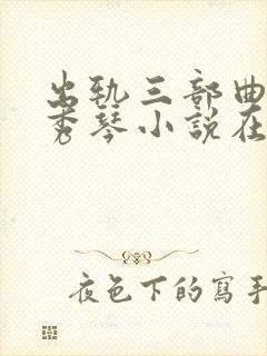 出轨三部曲之沈秀琴小说在线阅读