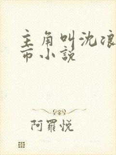 主角叫沈浪的都市小说封面