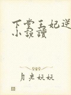 下堂王妃逆袭记小说读