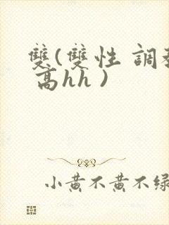 双(双性 调教 高hh )