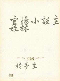 官场小说主人公姓林