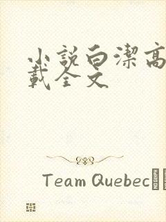 小说白洁高义下载全文