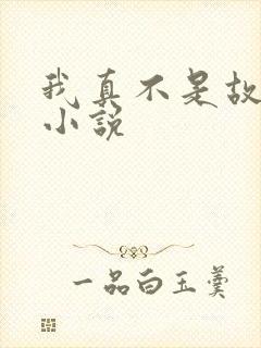 我真不是故意的小说