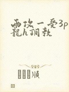 两攻一受3p双龙h调教封面