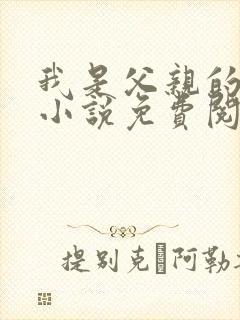 我是父亲的月老小说免费阅读