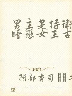 男主是侍卫从小暗恋女主古言封面