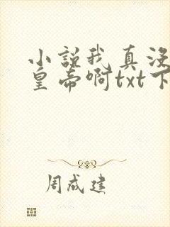 小说我真没想当皇帝啊txt下载