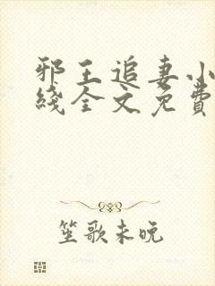 邪王追妻小说在线全文免费阅读