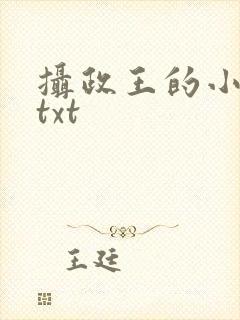 摄政王的小闲妻txt