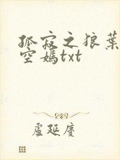 孤寂之狼叶凡司空嫣txt