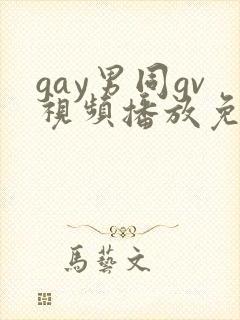 gay男同gv视频播放免费