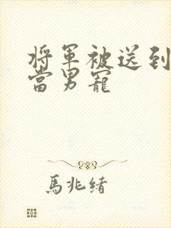 将军被送到敌国当男宠