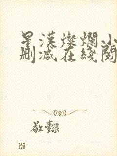 星汉灿烂小说无删减在线阅读