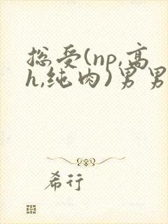 总受(np,高h,纯肉)男男