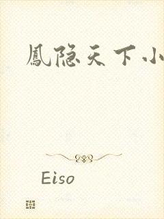 凤隐天下小说封面