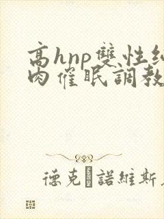 高hnp双性纯肉催眠调教