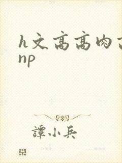 h文高高肉高辣np