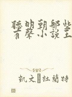 听明朝那些事儿有声小说王更新