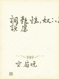 调教性,奴:小说虐封面