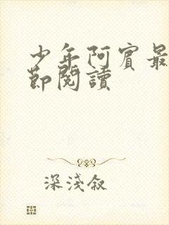 少年阿宾最新章节阅读