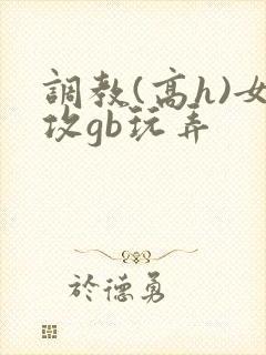 调教(高h)女攻gb玩弄
