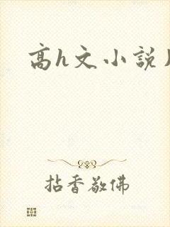 高h文小说片段