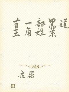 有一部黑道小说主角姓叶封面