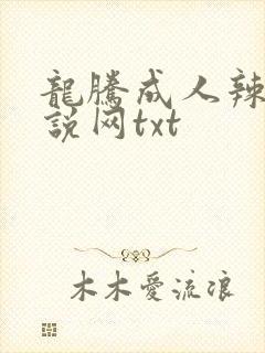 龙腾成人辣文小说网txt