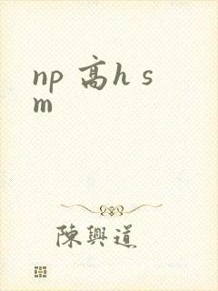 np 高h sm