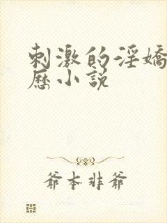刺激的淫娇妻经历小说