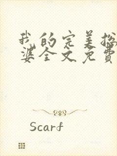 我的完美总裁老婆全文免费阅读