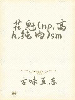 花魁(np,高h,纯肉)sm