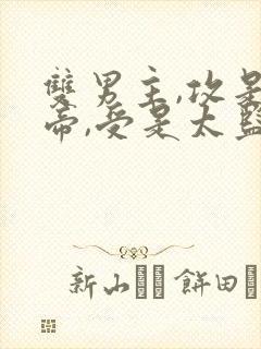 双男主,攻是皇帝,受是太监