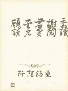 顾子君谢季青小说免费阅读封面