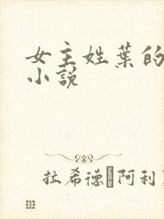 女主姓叶的全部小说封面