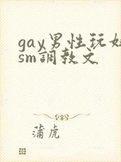 gay男性玩奴sm调教文