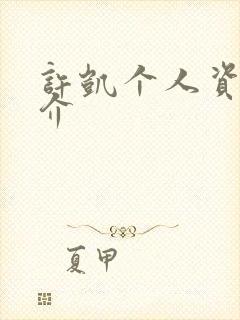 许凯个人资料简介