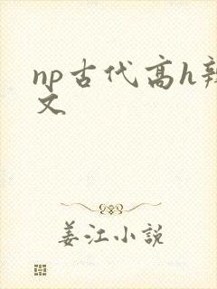 np古代高h辣文封面