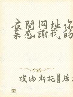 夜间网址你会回来感谢我的封面