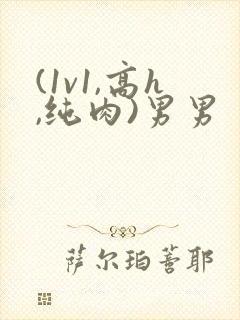 (1v1,高h,纯肉)男男