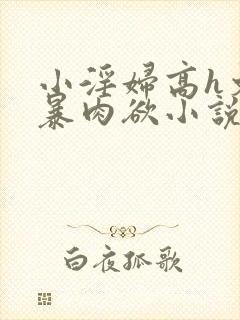 小淫妇高h文黄暴肉欲小说